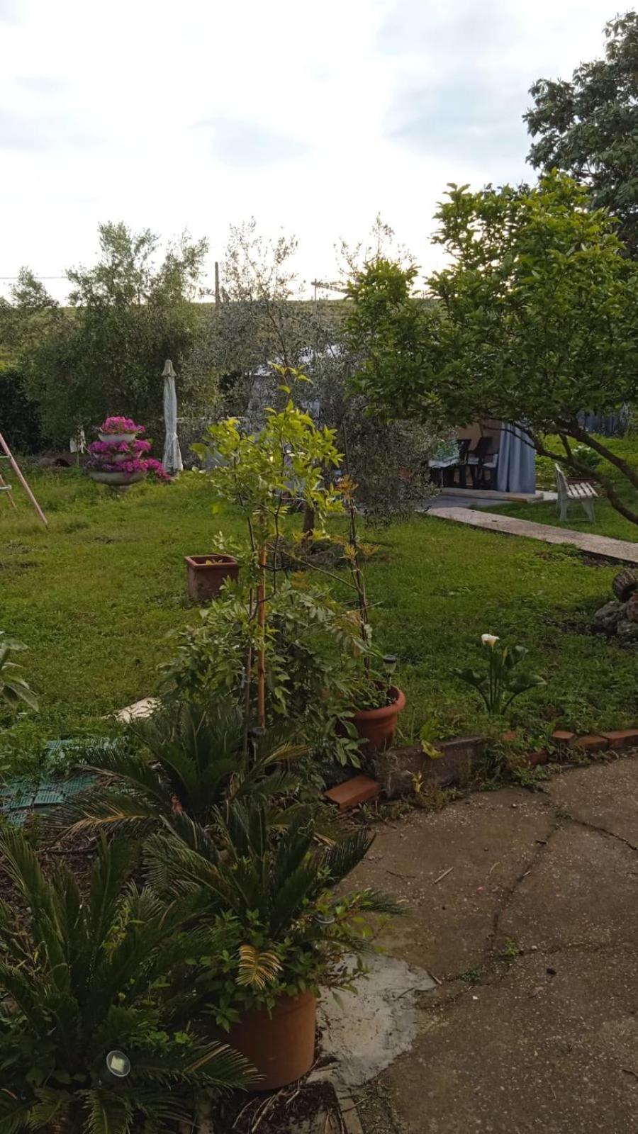 Casina Maria Daire Roma Dış mekan fotoğraf